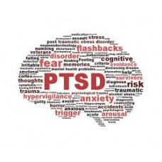 On-Line Therapy Programme for Post Traumatic Stress Disorder (PTSD)